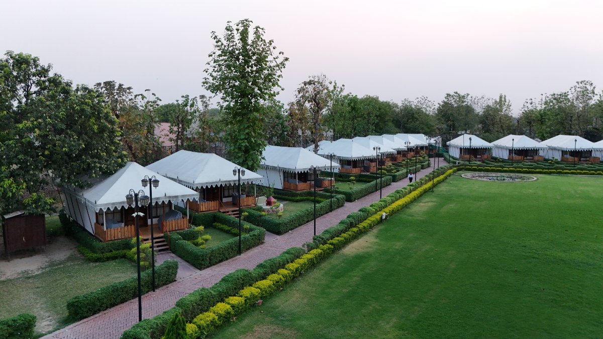 OM  VILAS BENARES 8