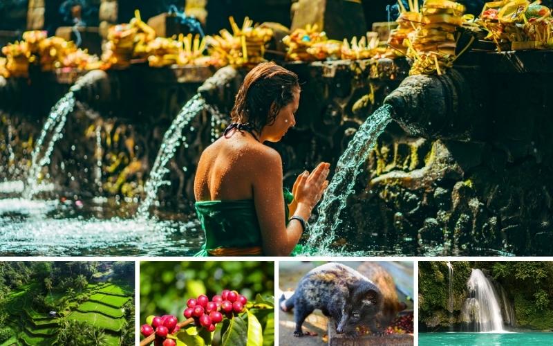 Bali Ubud Tour