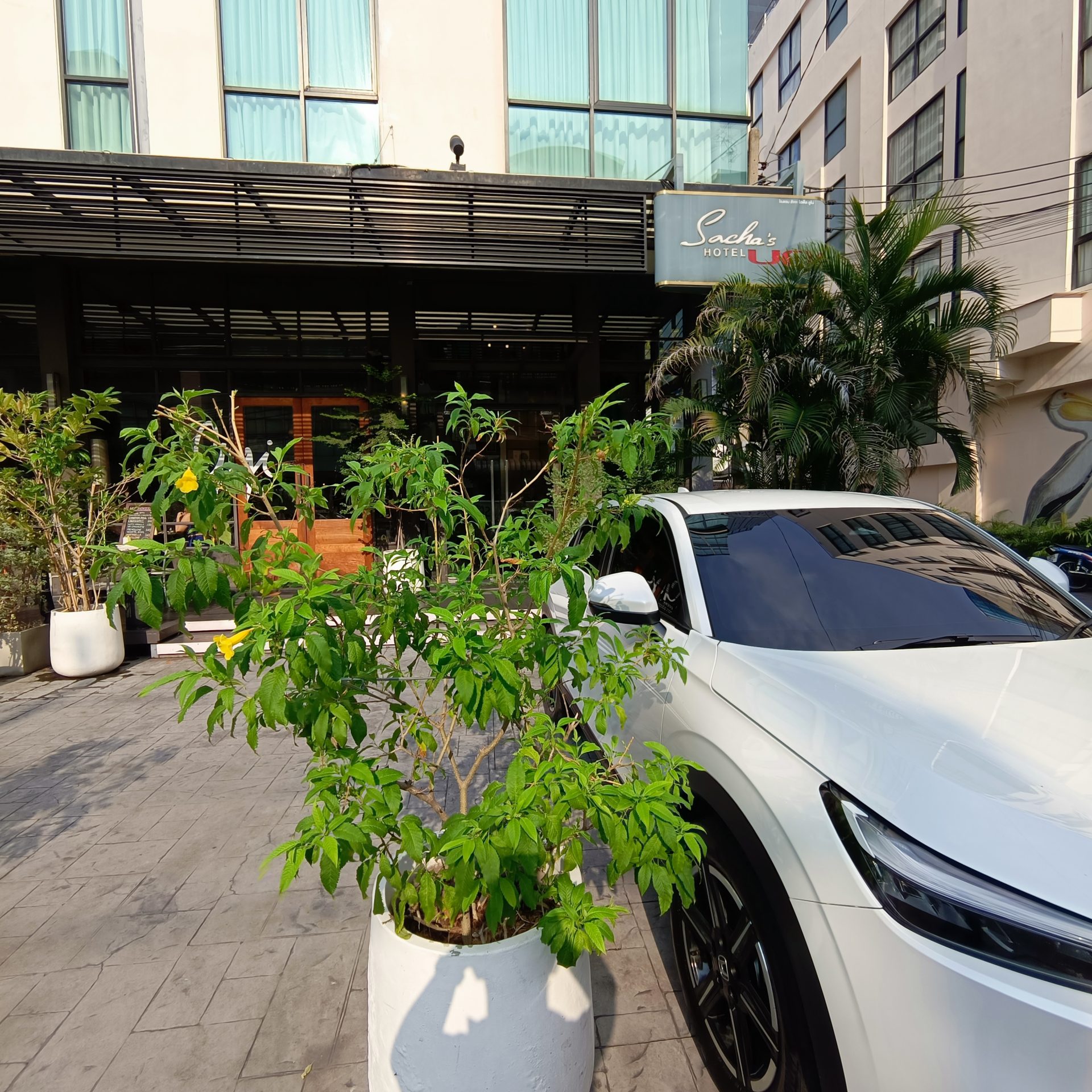 Sacha’s Hotel Uno